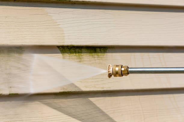 Best Affordable Power Washing  in Alexander, AR